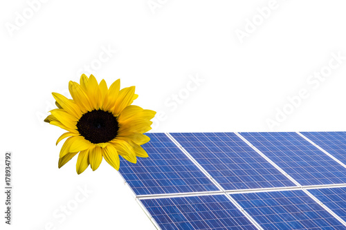 Solarkollektor mit Sonnenblume isoliert