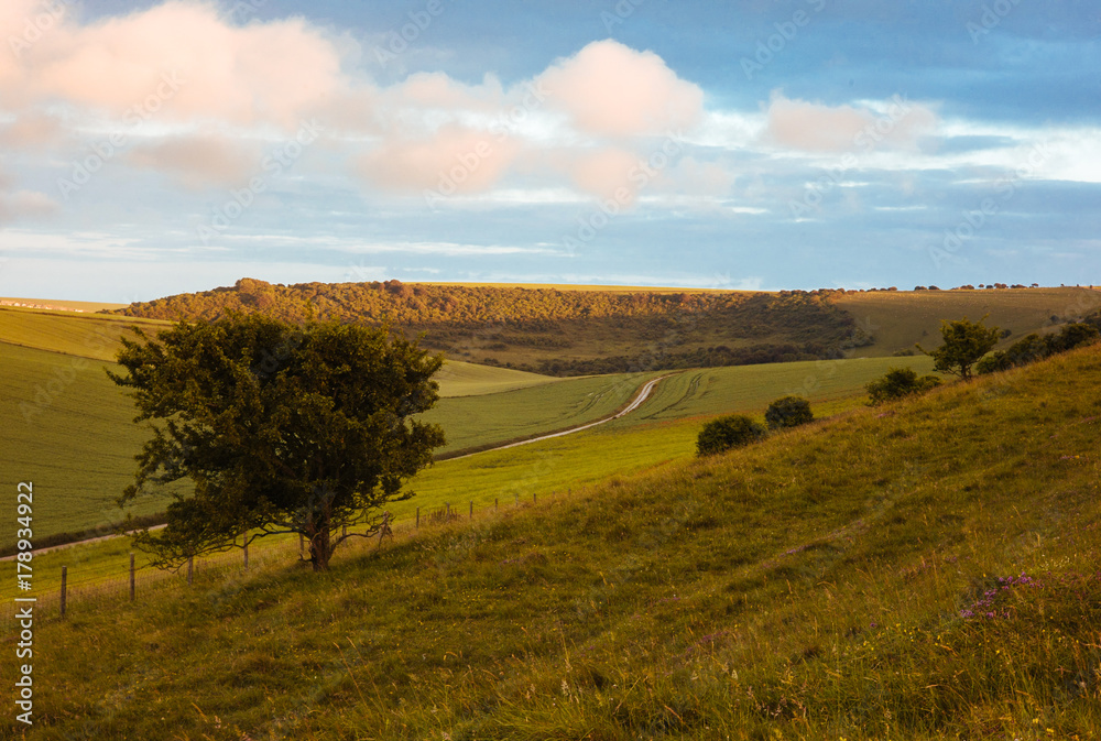 Fototapeta premium A dirt road and rural scene in East Sussex, England.