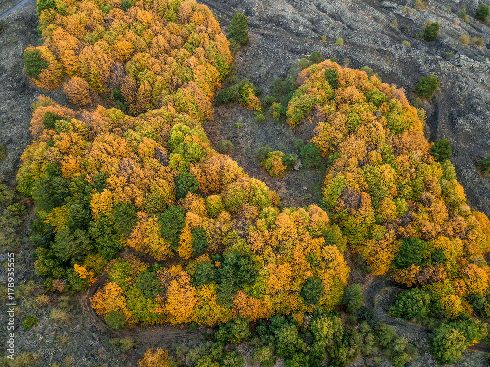 Autumn colors on the Etna volcano