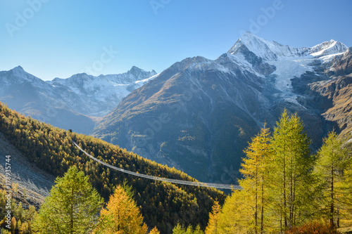 Charles Kuonen suspension bridge in Swiss Alps. With 494 metres, it is the longest suspension bridge in the world photo