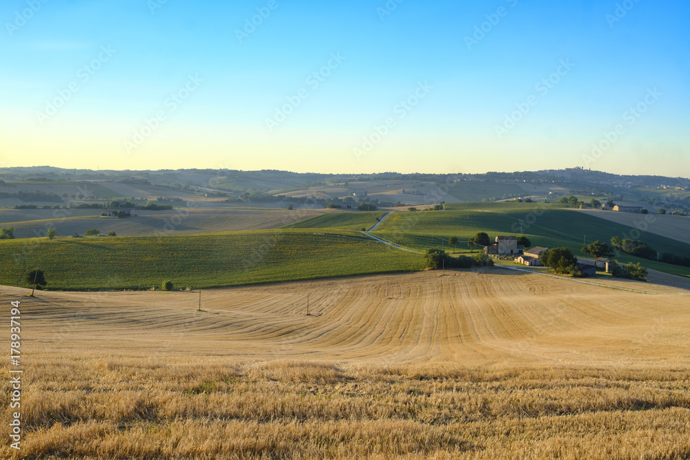 Summer landscape in Marches (Italy) near Filottrano