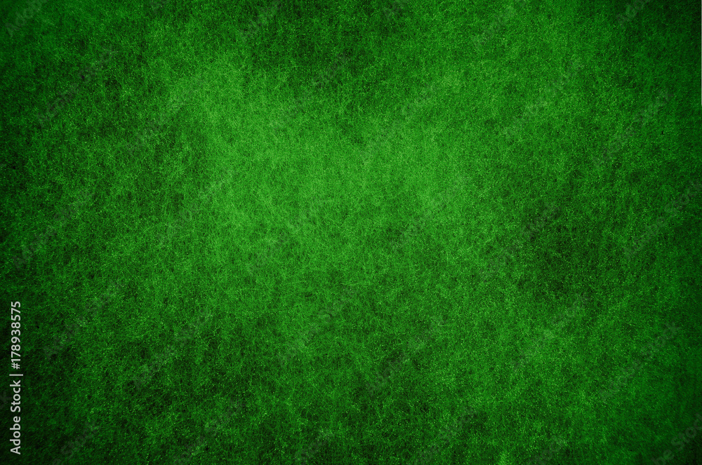 Mold background painted in green with soft focus. Background for Christmas, for holidays.Aspergillus. Fungi. Green abstract grunge background texture. Mold background painted in green with soft focus. Background for Christmas, for holidays.Aspergillus. Fungi. Green abstract grunge background texture.