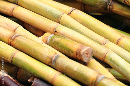 sugarcane texture as nice natural background