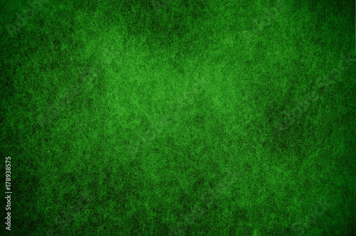 Mold background painted in green with soft focus. Background for Christmas, for holidays.Aspergillus. Fungi. Green abstract grunge background texture.