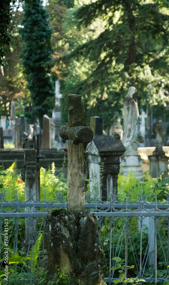 The ancient cemetery crosses surrounded by greenery and warm sunshine shining from behind the trees