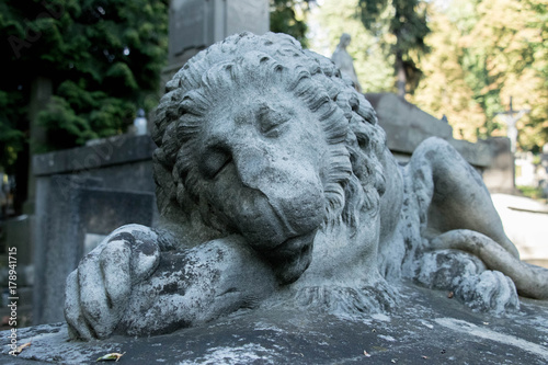 lion gravestone surrounded by greenery and warm sunshine shining from behind the trees