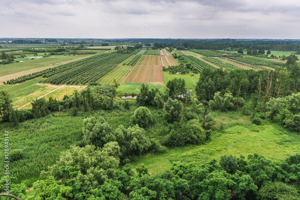 Rural landscape seen from tower of castle ruins in Czersk, Masovia region in Poland