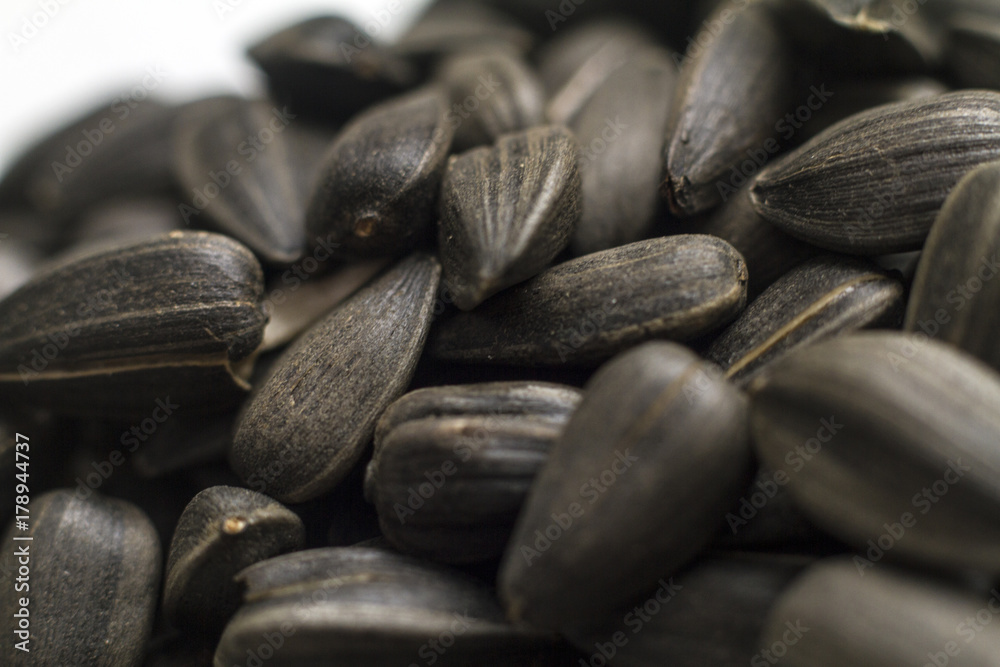 seeds macro seeds macro