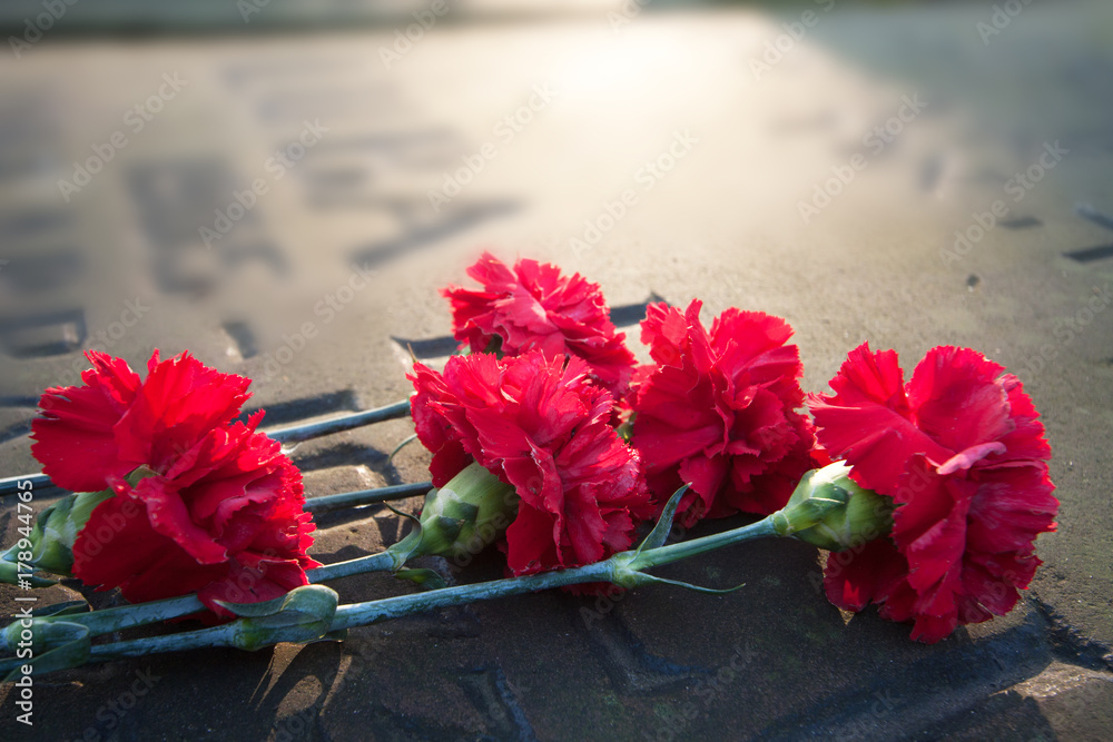 red carnations lying on granite slab