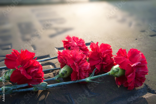 red carnations lying on granite slab