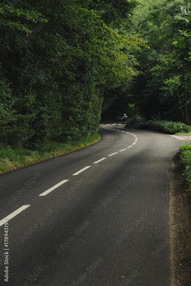 Empty country asphalt road passing through the green forest in the region of Normandy, France. Nature, countryside landscape, transportation and road network concept.