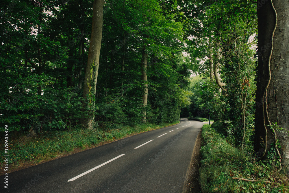Fototapeta premium Empty country asphalt road passing through the green forest in the region of Normandy, France. Nature, countryside landscape, transportation and road network concept