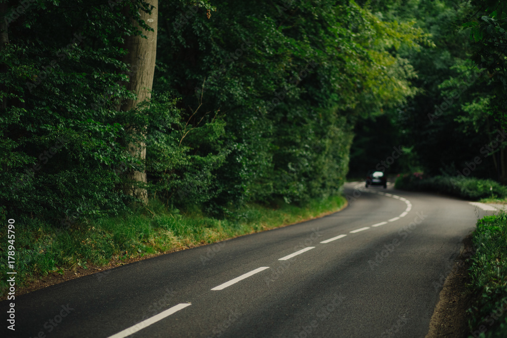 Fototapeta premium Cars driving on the asphalt road passing through the green forest in the region of Normandy, France. Summer nature, countryside landscape, transportation and road network concept.