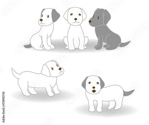 犬  ゴールデンレトリバー  戌年