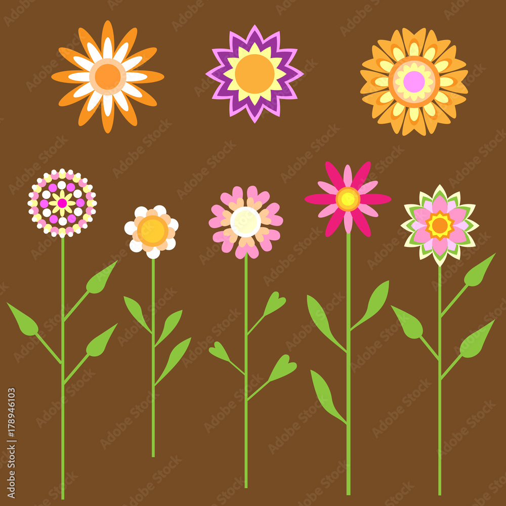 Colorful flat flower collection isolated over brown background