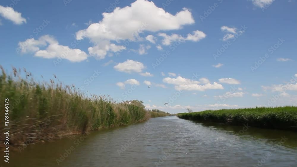 Filmed during movement of the boat through the channel. Canal banks are overgrown with reeds Filmed during movement of the boat through the channel. Canal banks are overgrown with reeds