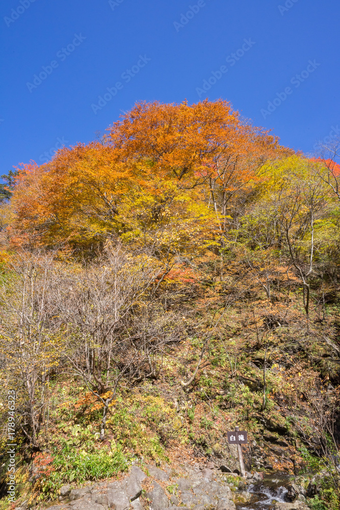 日塩もみじライン　峠の茶屋　白滝