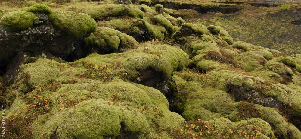 Iceland Iceland