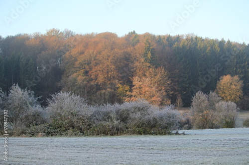 Wallpaper Mural Stimmungsbilder Schwäbische Alb Torontodigital.ca