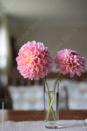 Fototapeta Naklejka Na Ścianę i Meble -  Blumen in der Vase