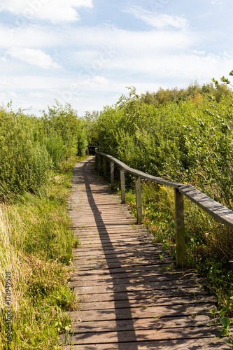 Moorlandschaft