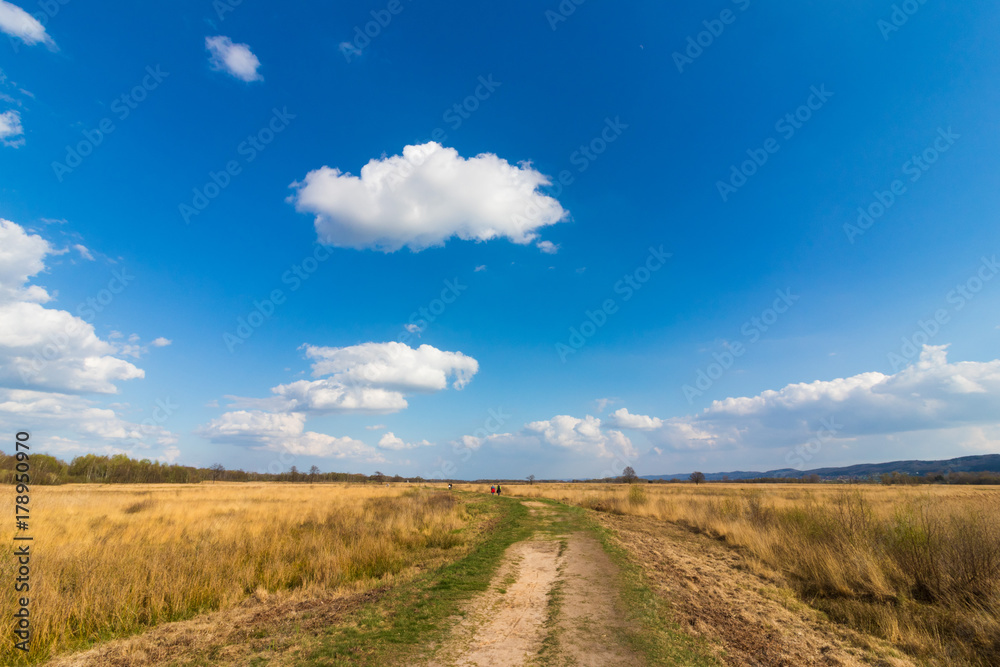 Fototapeta premium Moorlandschaft