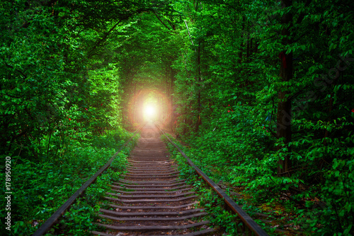 Fototapeta kolej w leśnym tunelu miłości