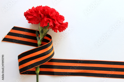 Carnation with St. George Ribbon, Victory day 9 May