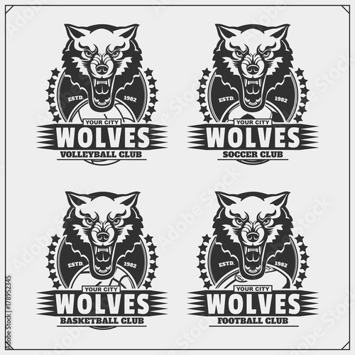 Volleyball, baseball, soccer and football logos and labels. Sport club emblems with wolf.