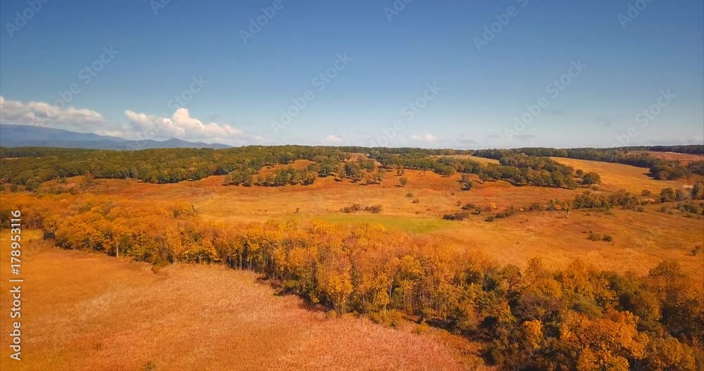 Aerial view of autumn fields and forests, beautiful landscape. Russia Aerial view of autumn fields and forests, beautiful landscape. Russia