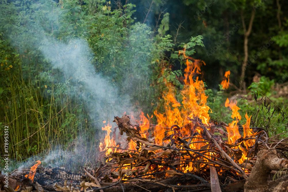 Wildfire burning