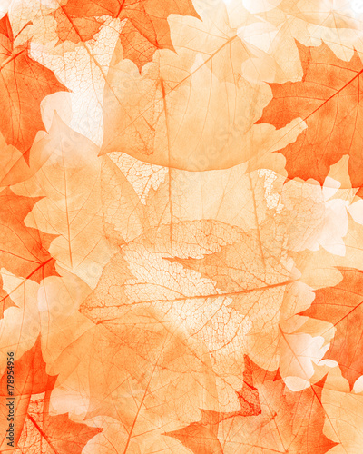 orange leaves abstract background