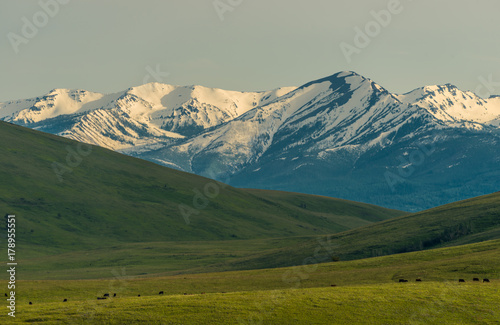 Wallowa Mountain peaks in the distance, prairie in foreground