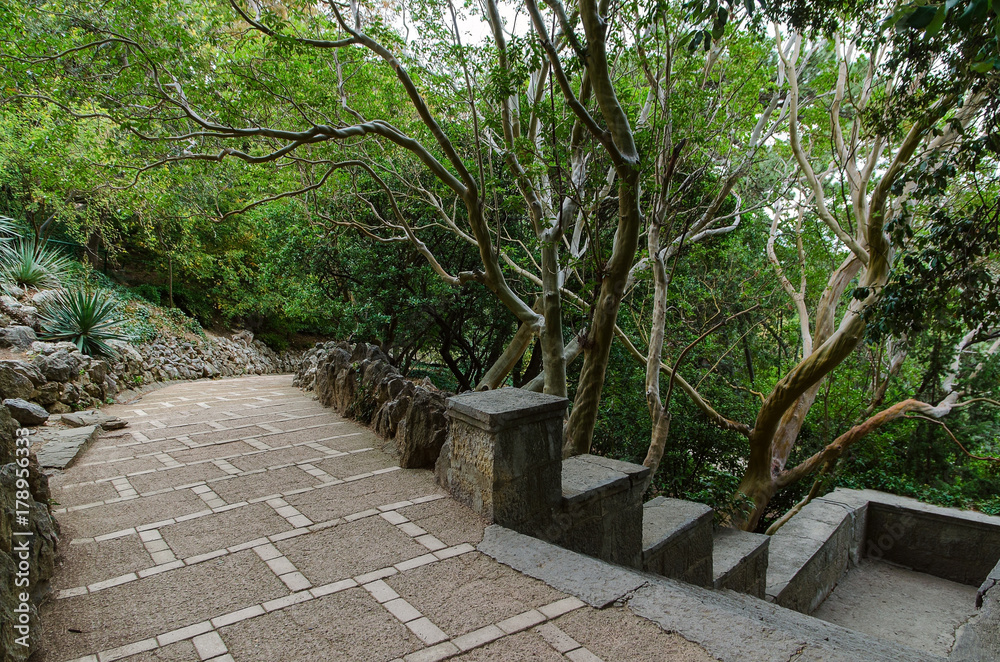 alley in botanical garden