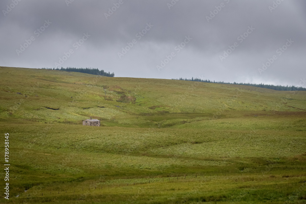 Obraz premium Big fields of grass, muddy and wet in the English Moor