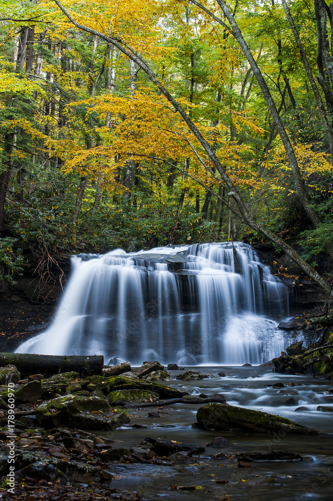 Fototapeta premium Waterfall in Autumn - Upper Falls of Fall Run Creek, Holly River State Park, West Virginia