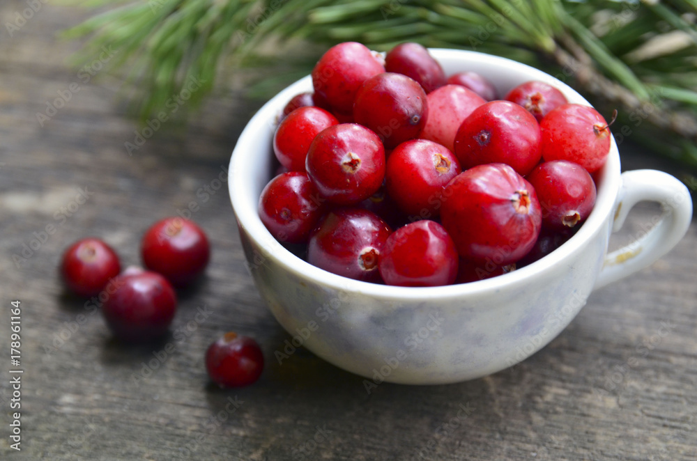 Fresh red organic Cranberries (Cowberry,Lingonberry) in a vintage porcelain cup on a rustic table.Cranberry on wooden background.Selective focus. Fresh red organic Cranberries (Cowberry,Lingonberry) in a vintage porcelain cup on a rustic table.Cranberry on wooden background.Selective focus.