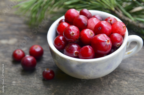 Fresh red organic Cranberries (Cowberry,Lingonberry) in a vintage porcelain cup on a rustic table.Cranberry on wooden background.Selective focus.