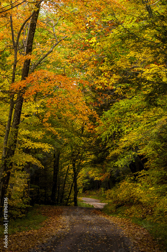 Country One-Lane Roads - Kumbrabow State Forest, West Virginia © Sherman Cahal