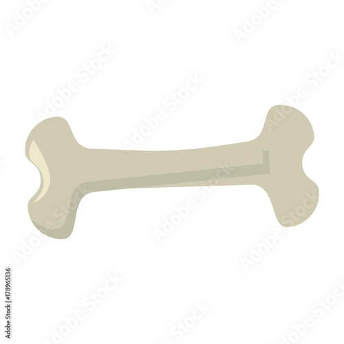 bone drawing isolated icon