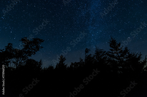 Starry Night - Dolly Sods Wilderness, West Virginia photo