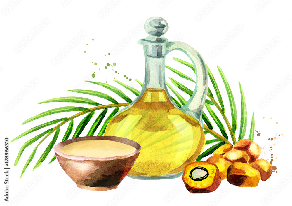 Palm oil set. Watercolor illustration