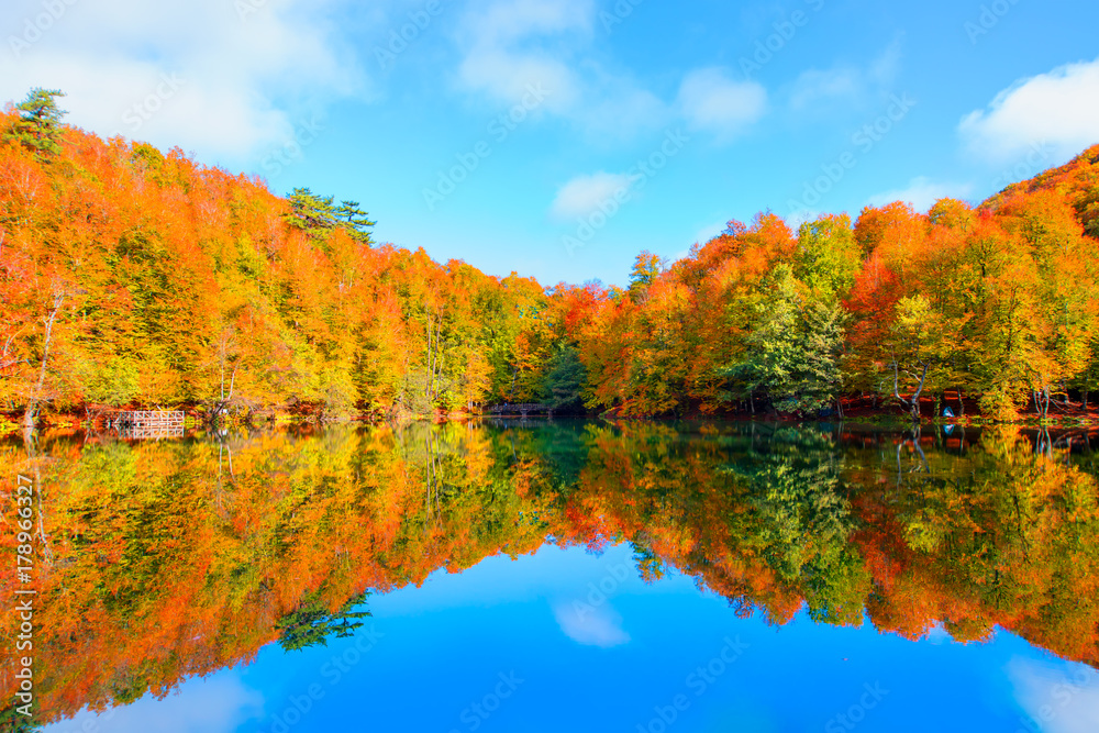 Fototapeta premium Yedigoller National Park, Bolu