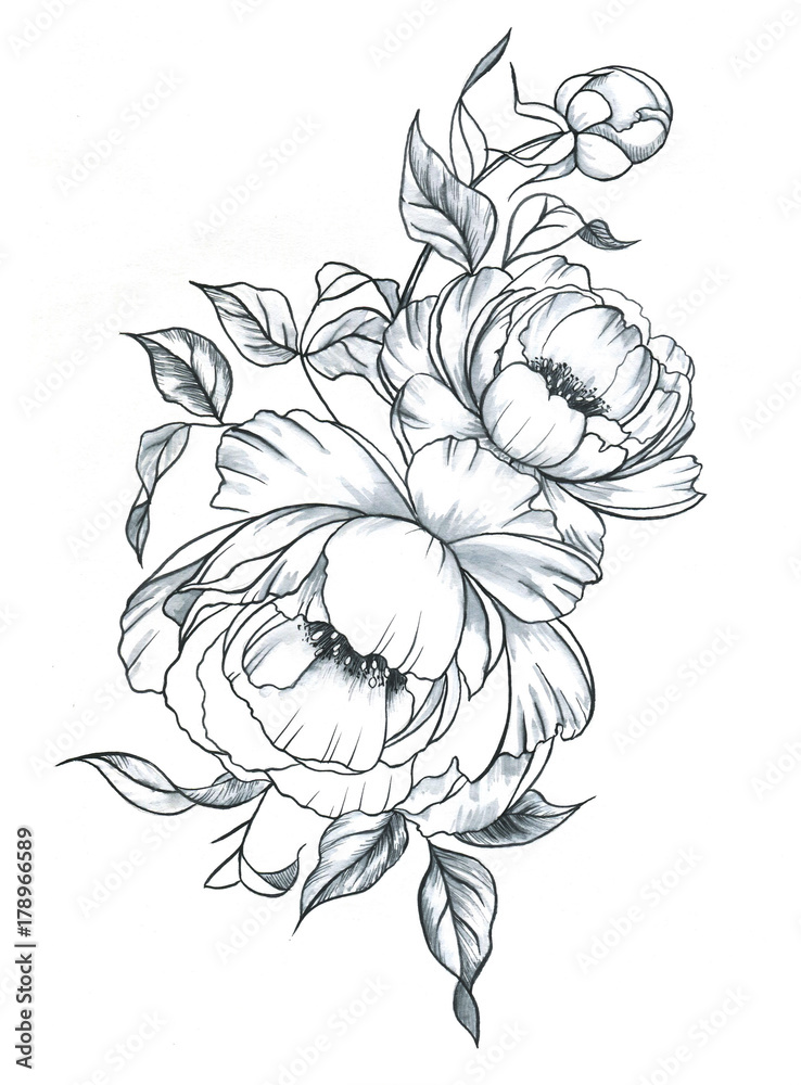 10943 Peony Tattoo Drawing Images Stock Photos  Vectors  Shutterstock