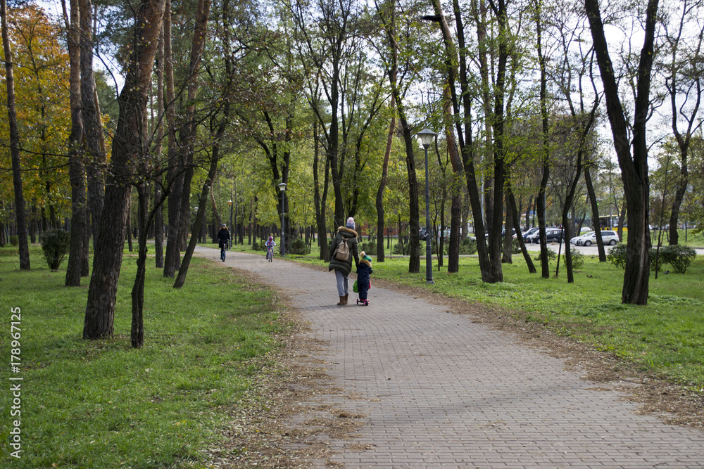 a walking path along a growing green grass and trees in a fall park a walking path along a growing green grass and trees in a fall park