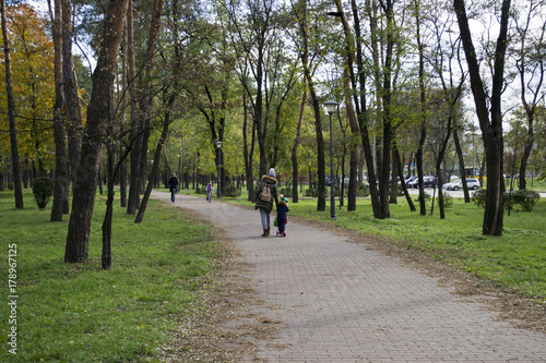 a walking path along a growing green grass and trees in a fall park