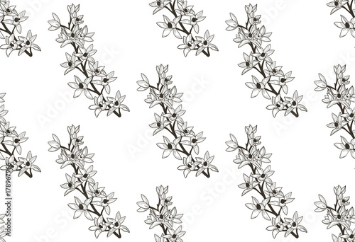 Vector Black Seamless Pattern with Drawn Flowers