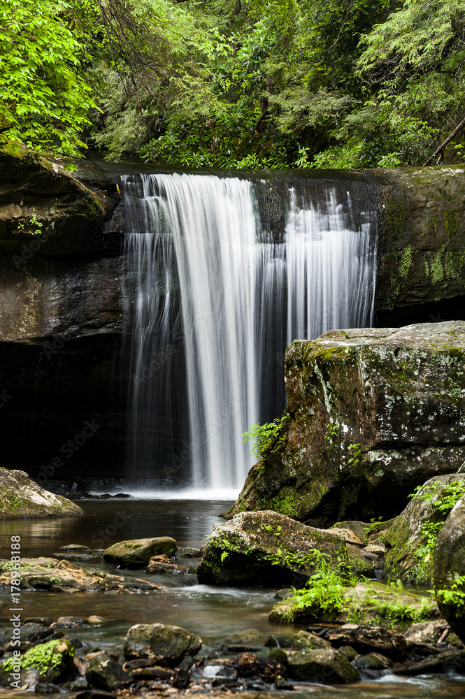 Naklejka premium Dog Slaughter Falls - Waterfall - Daniel Boone National Forest - Southern Kentucky