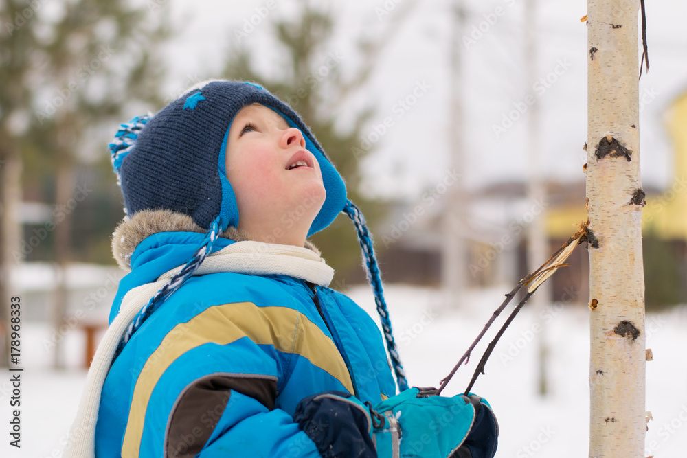 A child boy takes a walk in a winter forest (park) interested in birch twigs