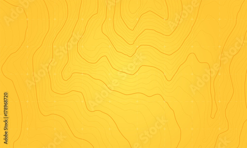 The stylized height of the topographic contour in lines and contours. The concept of a conditional geography scheme and the terrain path. Vector illustration.